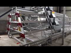 Un type 4 cage de couche d'oeufs de ferme avicole de rangées