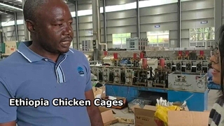 Feedback de la clientèle