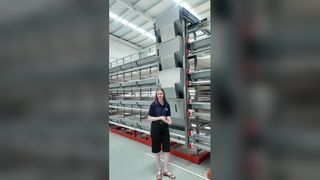 Le système automatique de cages pour poulets de chair/couches maximise les bénéfices des fermes avicoles