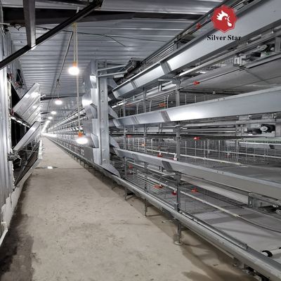 Automated H-Type Broiler Cage System - Hot-Dip Galvanized High-Density Commercial Poultry Farming Equipment