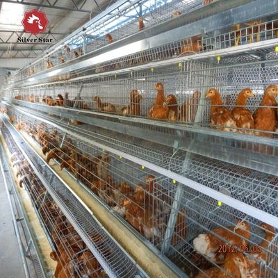 Automated H-Type Broiler Cage System Hot-Dip Galvanized Full Automatic High-Density Poultry Farming Equipment