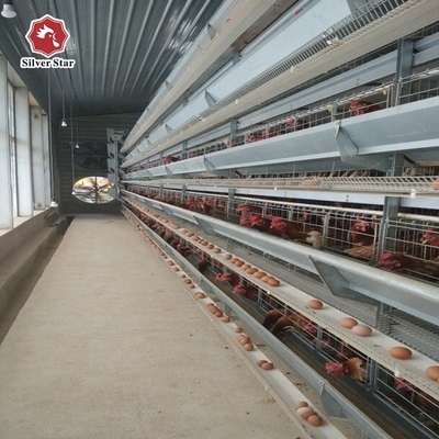 4 Tiers Chicken Egg Layer Battery Cage For Tanzania Poultry Farm Automatic Q235