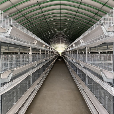 Poultry Battery Chicken Cage For Layers And 120 Layers 10 Tiers