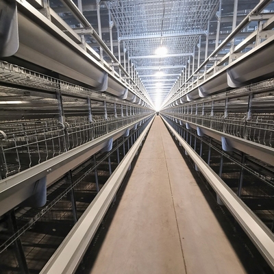 H Type Quail Layer Chicken Cage Chicken Egg 10 Tiers