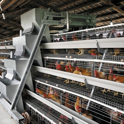 0.75kw Auto Feeding Layer Chicken Cage 54-384 Birds For Husbandry