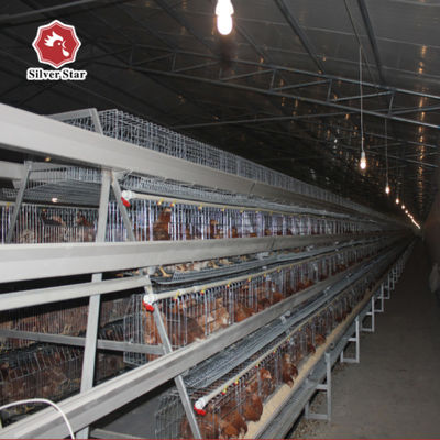 A Type Full Automatic Layer Chicken Cage 4 Layers / Cell