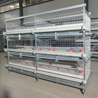 H Type Broiler Chicken Cage 3 Tier 4 Tier With Automatic Feeding System