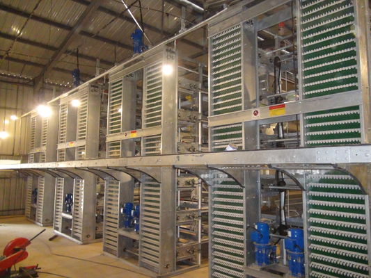 Hot Galvanized Poultry Farm Laying Hens Equipment System Automatic Battery Layer Chicken Cage