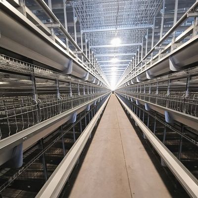Hot-Galvanized Battery Cage Farming Equipment For Egg Layers With Automatic Chicken Cages And Egg Collection Disinfe