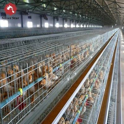 Hot-Galvanized Battery Cage Farming Equipment For Egg Layers With Automatic Chicken Cages And Egg Collection Disinfe