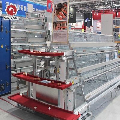 Hot-Galvanized Battery Cage Farming Equipment For Egg Layers With Automatic Chicken Cages And Egg Collection Disinfe