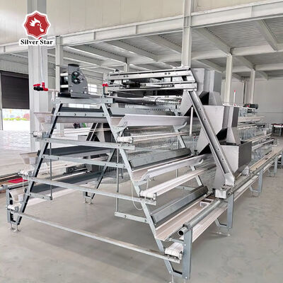 Hot-Dip Galvanized A-Type Broiler Chicken Cage with Automatic Manure Removal and High Density for Poultry Farm