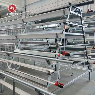 Affordable Automatic A-Type Layer Battery Cage System for Medium & Large Poultry Farms
