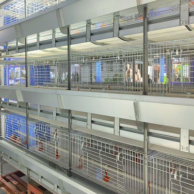 Fully Automated Hot-Dip Galvanized H-Type Broiler Cage System for High-Density Poultry Farming