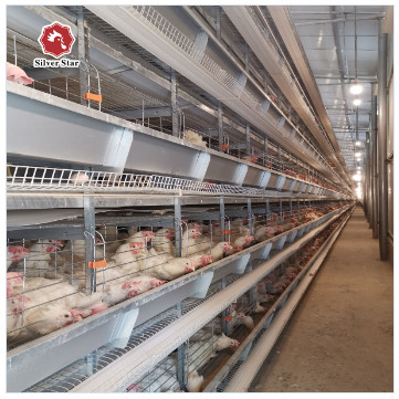 Philippines Galvanized Egg Layer Chicken Cage H Type 68KG ISO9001