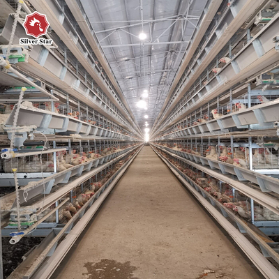 Ventilational Automatic Layer Cage System , 4 Tier 120 Birds Chicken Battery Cages