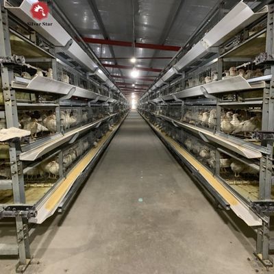 Système automatique de cage à batterie de poulet de type H pour les élevages commerciaux de poulets à viande avec cadre galvanisé à chaud et configuration de 3-4 niveaux