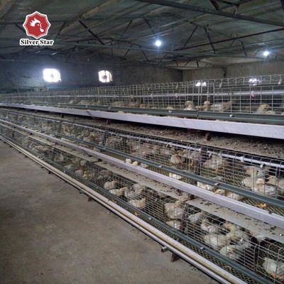 Meilleur prix Système de cage de poulet de type A automatique Cage de poulet de type A