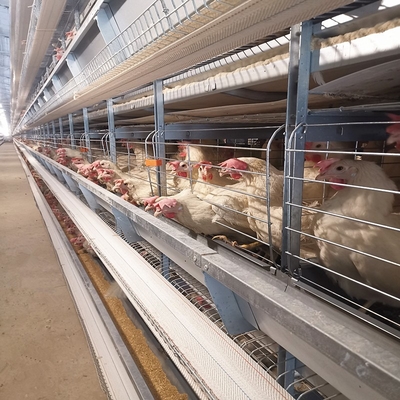 Q235 Steel Mire Battery Layer Chicken Cage Breeding Hens Cage