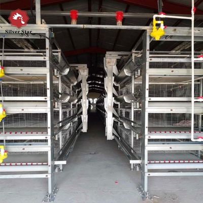 Hot-dip Galvanized Steel H Type Broiler Chicken Cage with Modular Automatic System and Adjustable Breeding Tiers