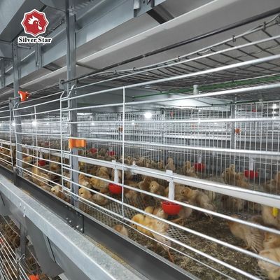 Système de cage à batterie pour les couches Équipement automatique de volaille Solution de ferme d'œufs de poulet