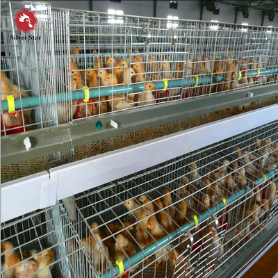 4 Tier Battery Broiler Chicken Cage A Type In Philippines Automatic