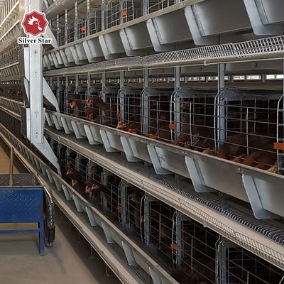 Système de cages à batterie automatiques de type H pour fermes avicoles commerciales - Galvanisé à chaud, ramassage automatique des œufs, durée de vie de 15 à 20 ans