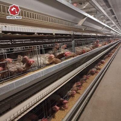 Système de cage à poules de type H | Équipement avicole automatique pour fermes d'œufs commerciales