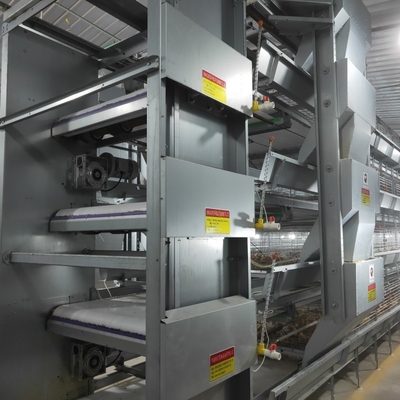 Upgrade Your Poultry Farming with Layer Chicken Cage and Durable Equipment