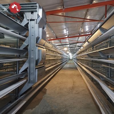 Bacs de batterie industriels de type H avec support d'ingénierie à l'étranger