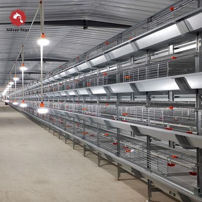 Système de cage de poulet de type H avec galvanisation à chaud pour l'élevage à haute densité et l'alimentation automatique