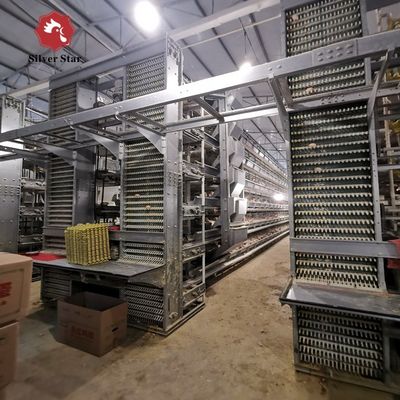 Système de batterie de cages à poulets de chair automatiques de type H pour fermes commerciales de poulets de chair
