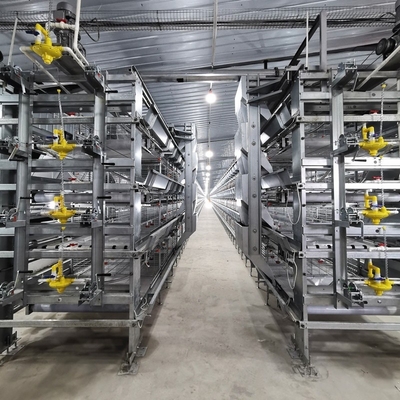 Équipement d'élevage de volailles Système automatique de type H Batterie Poulet de poule