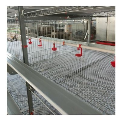 Hot Galvanized Poultry Farm Laying Hens Equipment System Automatic Battery Layer Chicken Cage
