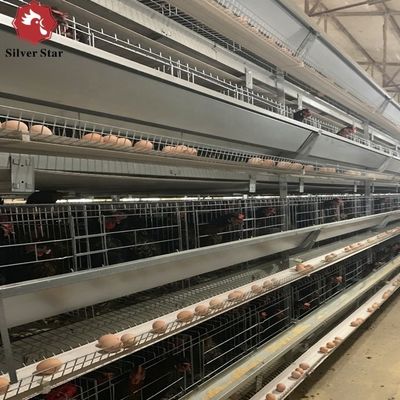 Hot Dip Galvanized H Type Layer Cage High Capacity Automated Poultry Cage with Automatic Feeding for Large Poultry Farm