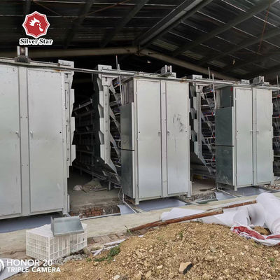 Automatic Layer Chicken Cage Equipment Battery Cage System for Layer Chickens