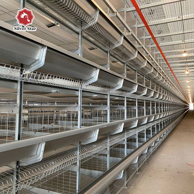 Cage à batterie à couche commerciale pour plus de 20 000 élevages d'oiseaux