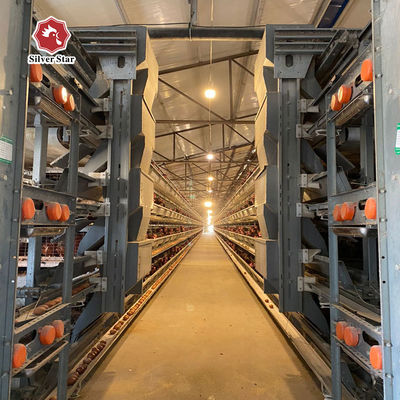 Système automatique de cage à batterie H-Type pour poulets de couche et poulets de chair.