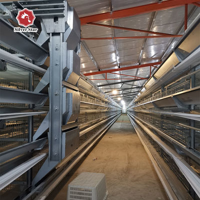 Hot Dip Galvanized H Type Layer Cage High Capacity Automated Poultry Cage with Automatic Feeding for Large Poultry Farm