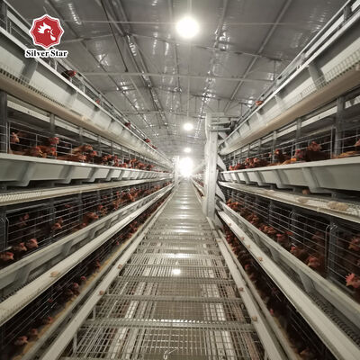 Cage à poulet en couches de type H avec une durée de vie de 20 ans pour 54 à 216 poules sur 3 à 8 niveaux