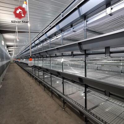 Design Chicken House Laying Coop H Type Broiler Cages Feeder Battery Cage System Egg Hen Meat Layer Breed Poultry Farm Equipment