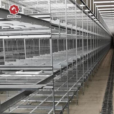 Cage de volaille/cages pour poules pondeuses/équipement d'élevage de poulets utilisé