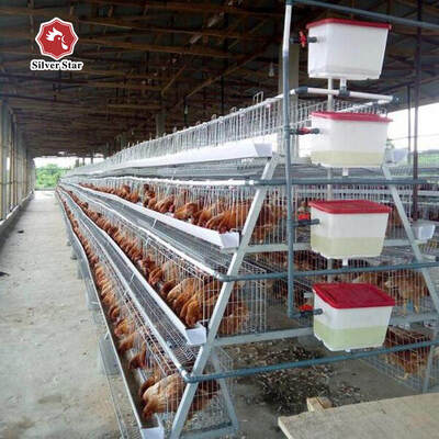 A-Type Broiler Battery Cage System for Poultry Farm Hot-Dip Galvanized A-Type Broiler Cage Manufacturer