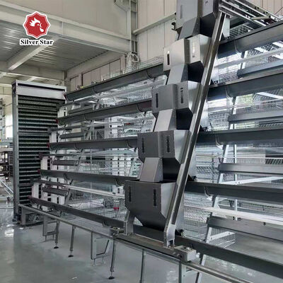 Bâtiment d'élevage de poulets de chair galvanisé à chaud de type A avec évacuation automatique du fumier et haute densité pour ferme avicole
