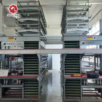 Système de cage à batterie à couche automatique de type H avec acier galvanisé à chaud pour la collecte automatique d'œufs et une durée de vie de 15-20 ans