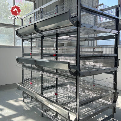 Cage à poulet à batterie Cage à couche à plusieurs niveaux avec systèmes automatiques d'élimination du fumier et de collecte des œufs pour la gestion des élevages de volailles