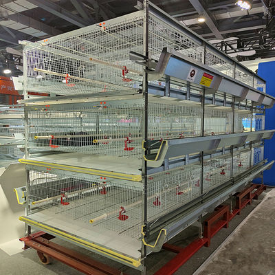 Fully Automatic H Type Broiler Chicken Cage with High Density Breeding & Hot Dip Galvanized for Commercial Poultry Farms