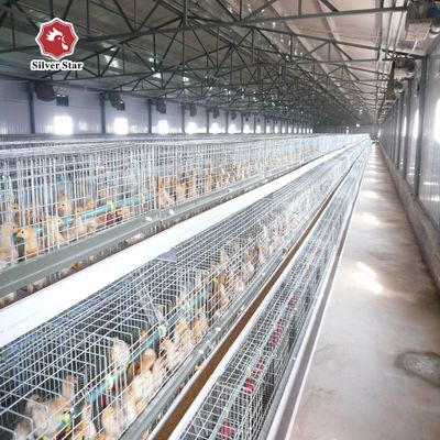 Wire Mesh 60-384 Egg Chicken Cage , HDG Q235 Layer Farming Cage