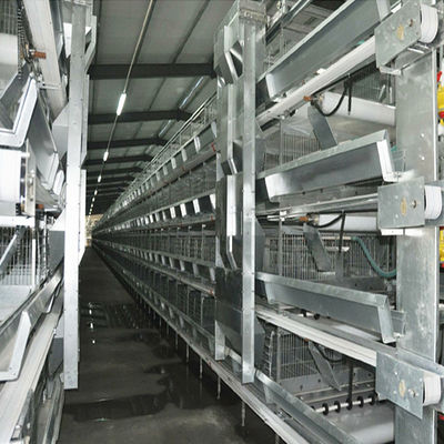 Système de cage automatique à batterie de type H avec galvanisation à chaud et conception modulaire empilable pour l'élevage commercial de volailles