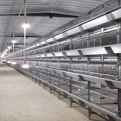 Cage de poulet de poulet de type H entièrement automatique avec élevage à haute densité et galvanisé à chaud pour les élevages commerciaux de volailles